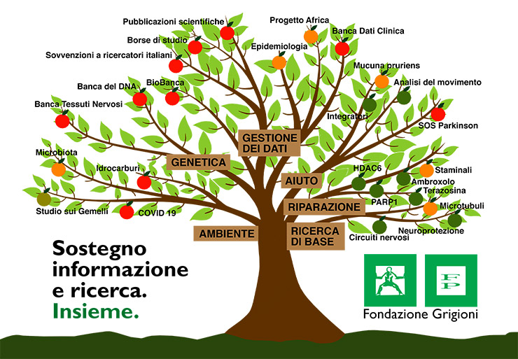 albero della ricerca 2023