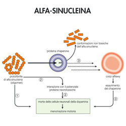 alfa-sinucleina