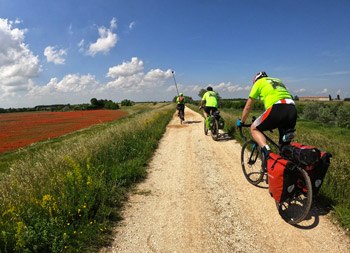 masotti in bici