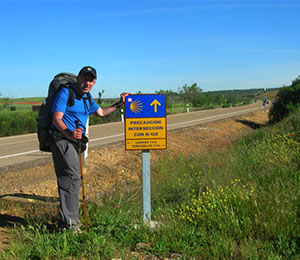 sulla via di Santiago de Compostela